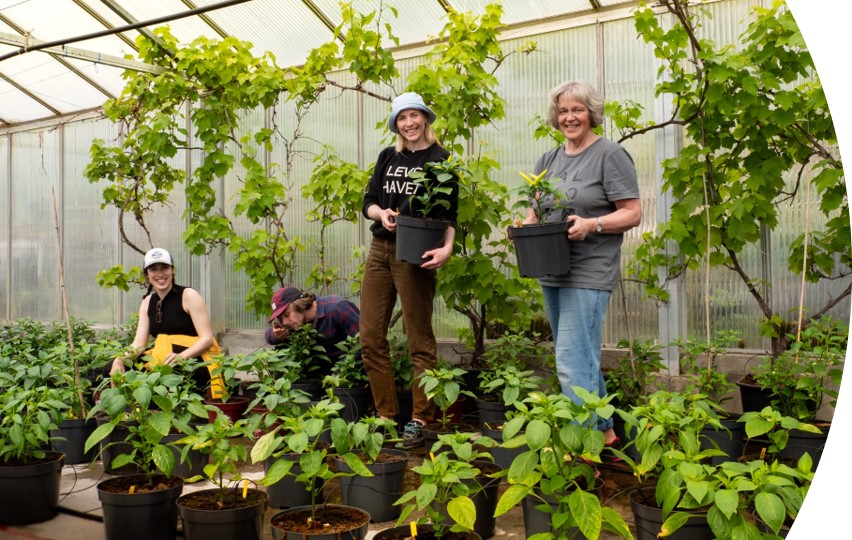 Urbant landbruk i Stad